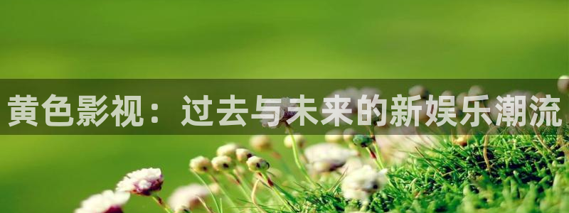 神马电影天堂在线观看我的姐姐：黄色影视：过去与未来的新娱乐潮流