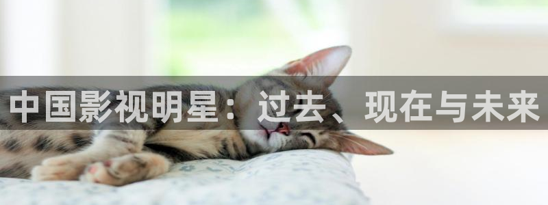 光棍天堂手机在线影院：中国影视明星：过去、现在与未来