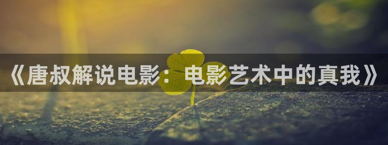 午夜精品男人天堂av