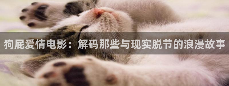 男人午夜天堂在线播放：狗屁爱情电影：解码那些与现实脱节的浪漫故事