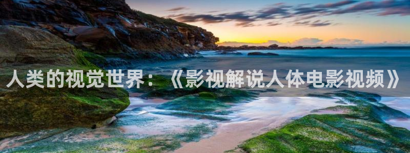 97天堂在线视频：人类的视觉世界：《影视解说人体电影视频》