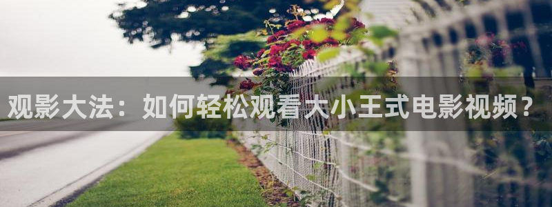 亚洲午夜电影天堂：观影大法：如何轻松观看大小王式电影视频？